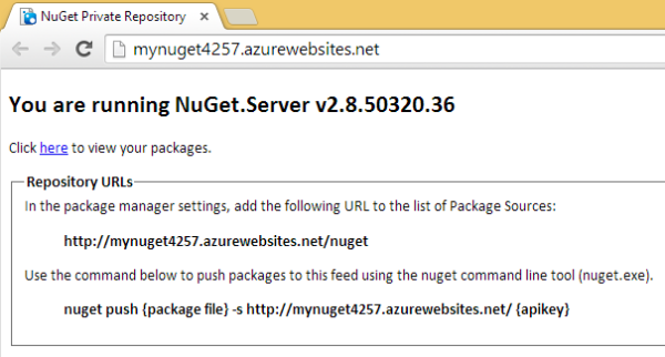 nuget server first visit